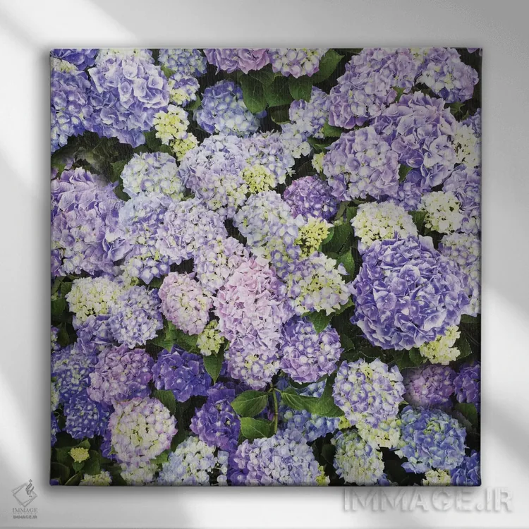 تابلو دیوانهوار عاشق ۱ اثر چلسیا ویکتوریا - نمای روبهرو روی دیوار