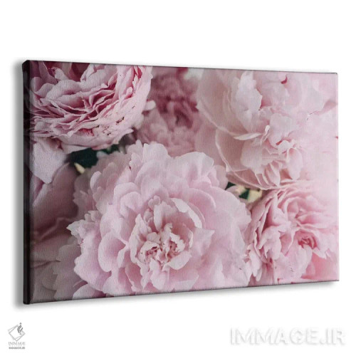 تابلو بالای صدتومانیهای صورتی اثر چلسیا ویکتوریا - نمای پرسپکتیو محصول