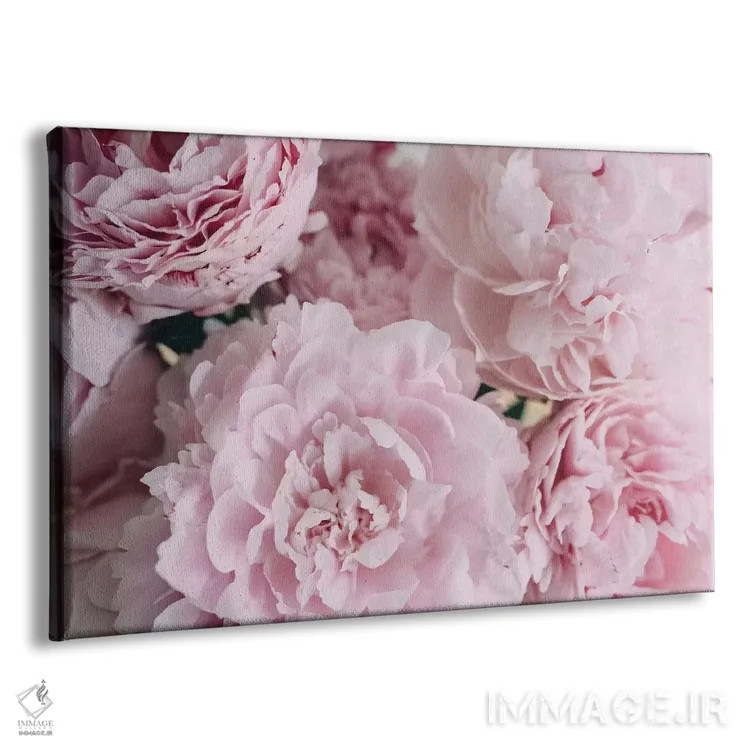 تابلو بالای صدتومانیهای صورتی اثر چلسیا ویکتوریا - نمای پرسپکتیو محصول