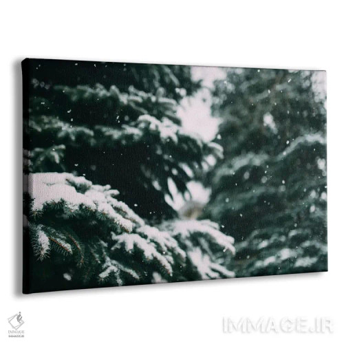 تابلو آواز برف اثر چلسیا ویکتوریا - نمای پرسپکتیو محصول