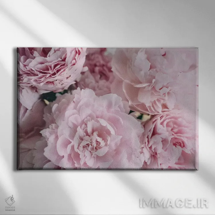 تابلو بالای صدتومانیهای صورتی اثر چلسیا ویکتوریا - نمای روبهرو روی دیوار