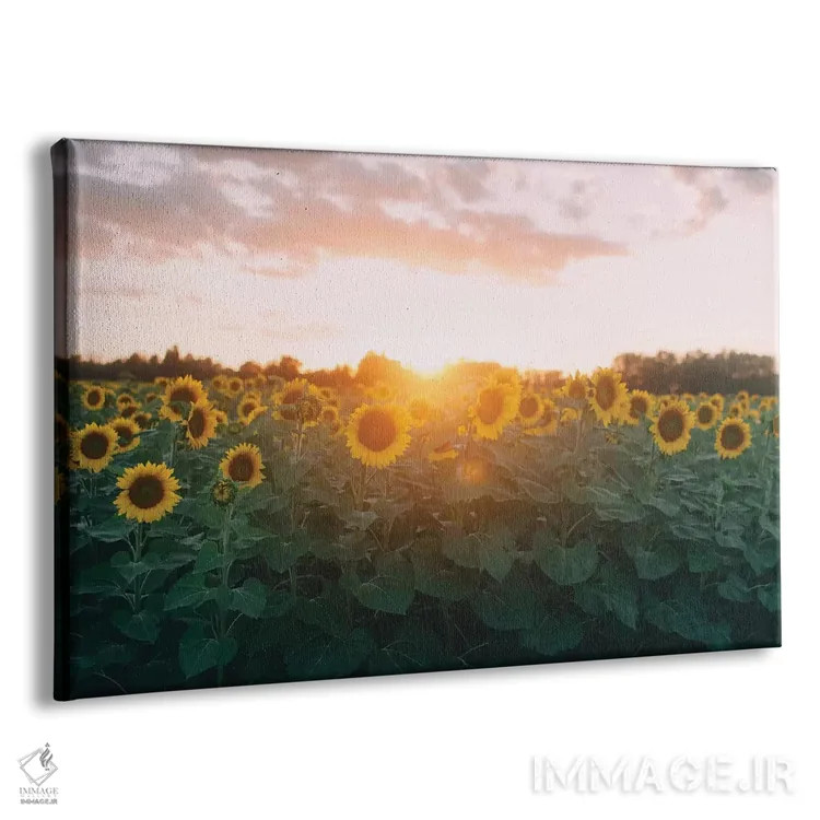 تابلو مزرعهٔ گل آفتابگردان و غروب آفتاب اثر چلسیا ویکتوریا - نمای پرسپکتیو محصول