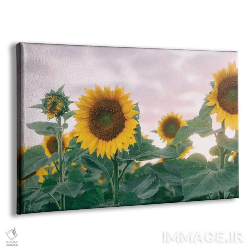 تابلو آفتابگردانها در غروب آفتاب ۱ اثر چلسیا ویکتوریا - نمای پرسپکتیو محصول