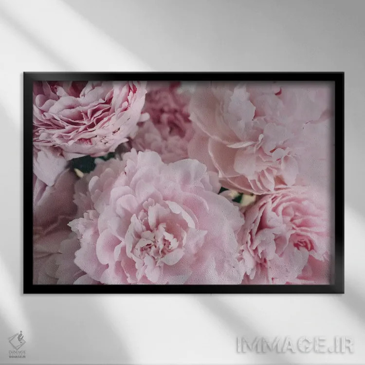 تابلو بالای صدتومانیهای صورتی اثر چلسیا ویکتوریا - نمای قابدار مشکی