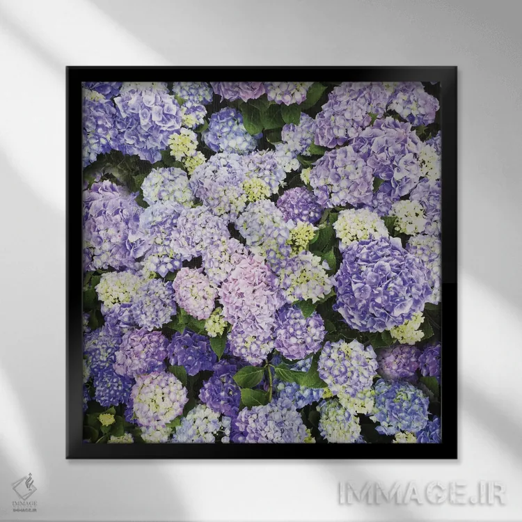 تابلو دیوانهوار عاشق ۱ اثر چلسیا ویکتوریا - نمای قابدار مشکی