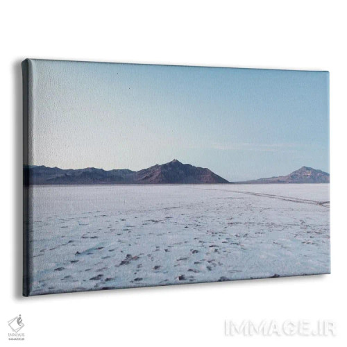 تابلو شهر سالت لیک (آمریکا) اثر چلسیا ویکتوریا - نمای پرسپکتیو محصول