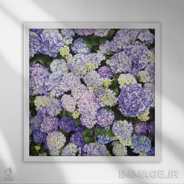 تابلو دیوانهوار عاشق ۱ اثر چلسیا ویکتوریا - نمای قابدار سفید