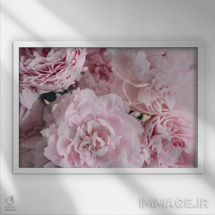 تابلو بالای صدتومانیهای صورتی اثر چلسیا ویکتوریا - نمای قابدار سفید