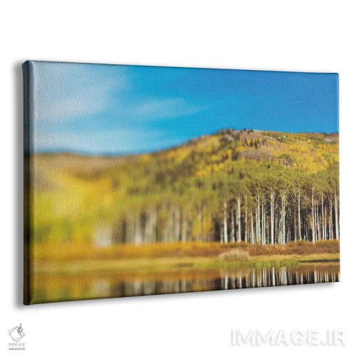 تابلو دریاچه بید اثر چلسیا ویکتوریا - نمای پرسپکتیو محصول