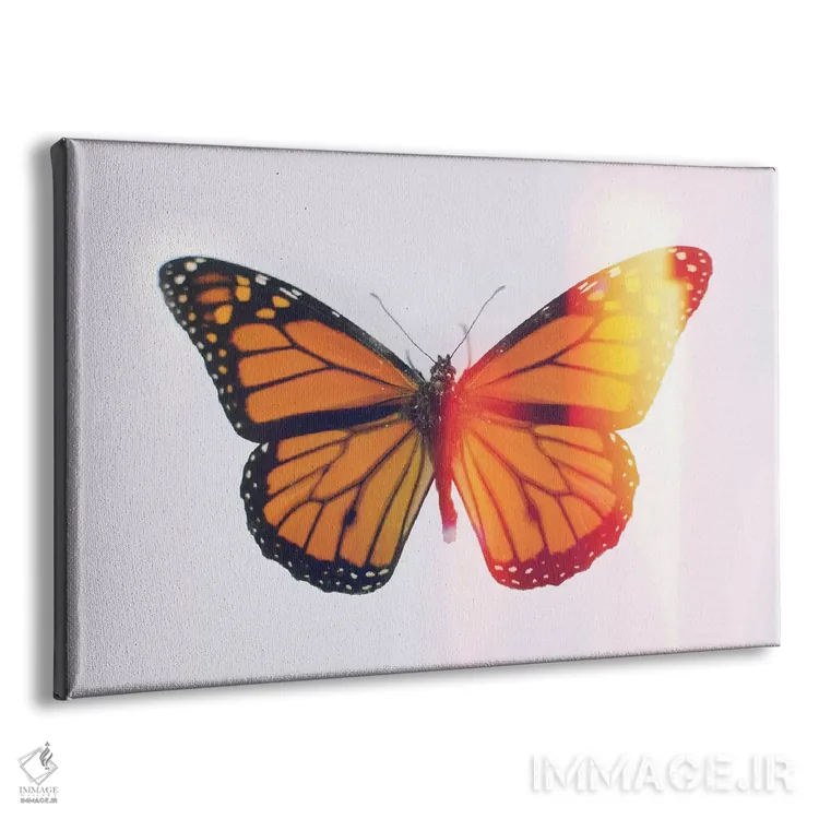 تابلو سلطنت اثر چلسیا ویکتوریا - نمای پرسپکتیو محصول