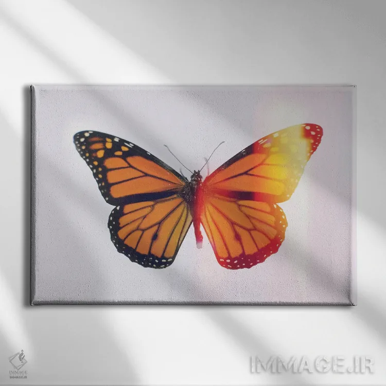 تابلو سلطنت اثر چلسیا ویکتوریا - نمای روبهرو روی دیوار