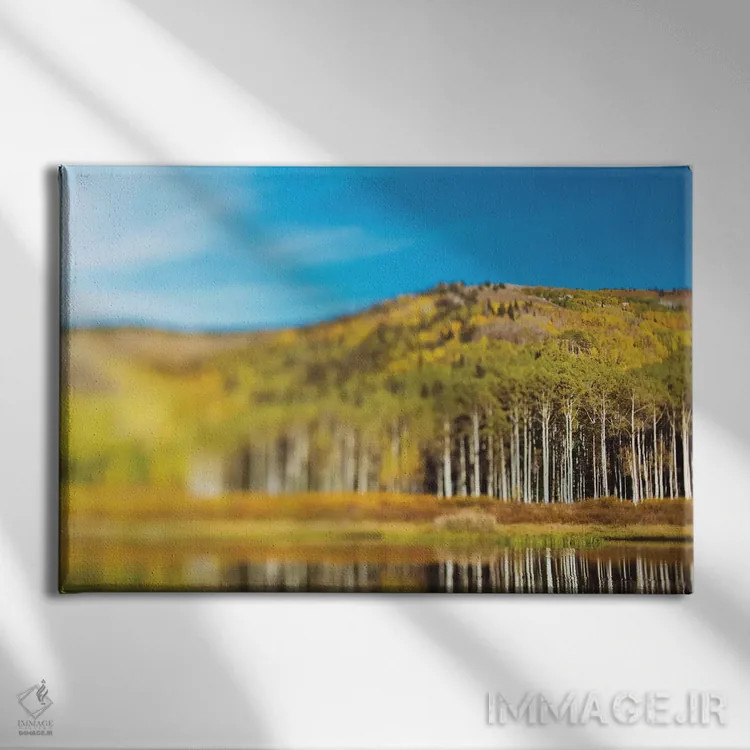 تابلو دریاچه بید اثر چلسیا ویکتوریا - نمای روبهرو روی دیوار