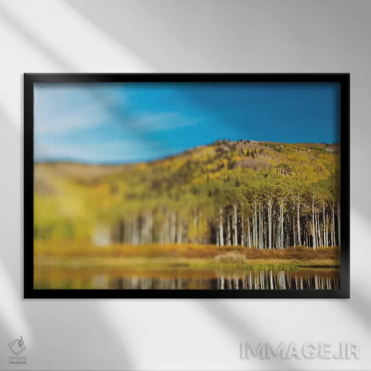 تابلو دریاچه بید اثر چلسیا ویکتوریا - نمای قابدار مشکی