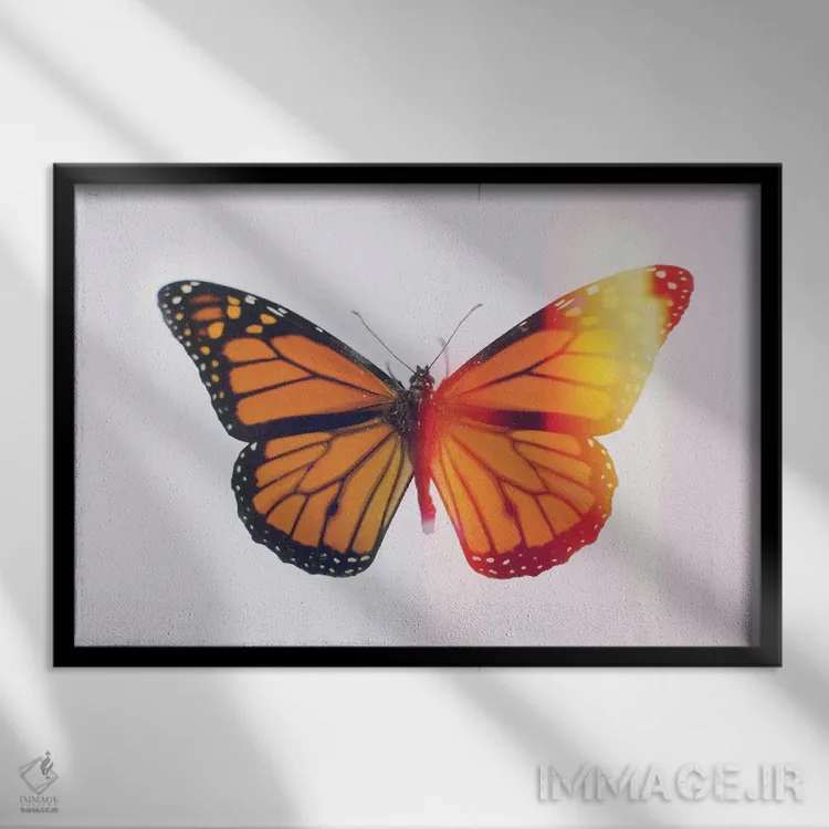 تابلو سلطنت اثر چلسیا ویکتوریا - نمای قابدار مشکی