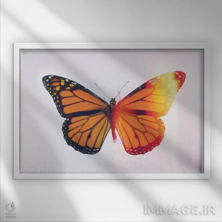 تابلو سلطنت اثر چلسیا ویکتوریا - نمای قابدار سفید