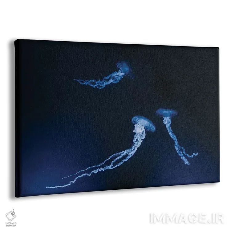 تابلو عروس دریایی مونتری اثر چلسیا ویکتوریا - نمای پرسپکتیو محصول