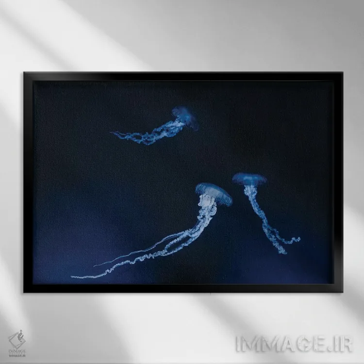 تابلو عروس دریایی مونتری اثر چلسیا ویکتوریا - نمای قابدار مشکی