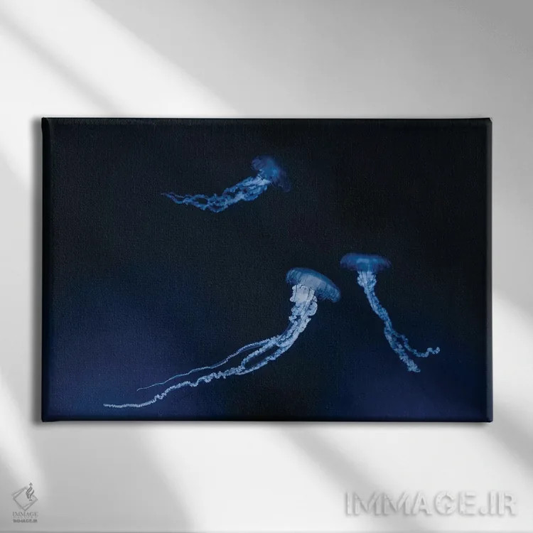 تابلو عروس دریایی مونتری اثر چلسیا ویکتوریا - نمای روبهرو روی دیوار