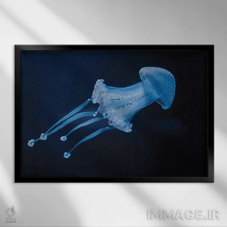 تابلو زندگی میتواند یک رؤیا باشد اثر چلسیا ویکتوریا - نمای قابدار مشکی