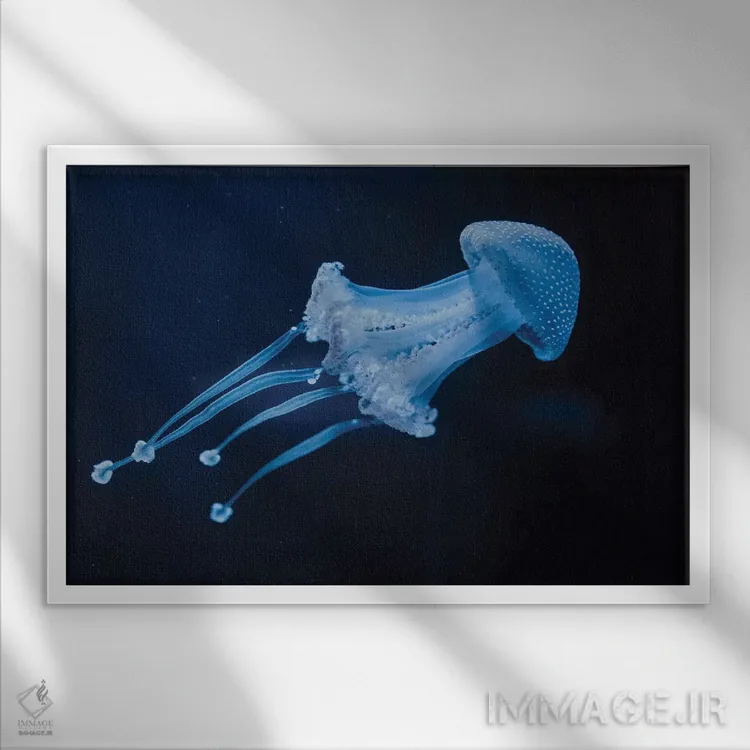 تابلو زندگی میتواند یک رؤیا باشد اثر چلسیا ویکتوریا - نمای قابدار سفید