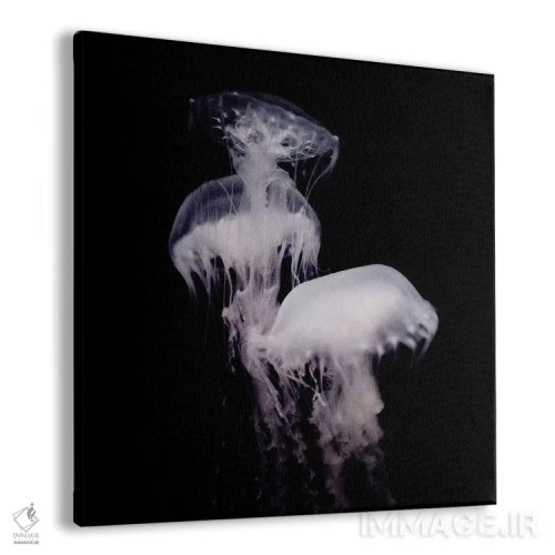 تابلو ارواح ژرفا ۳ (قسمت سوم) اثر چلسیا ویکتوریا - نمای پرسپکتیو محصول