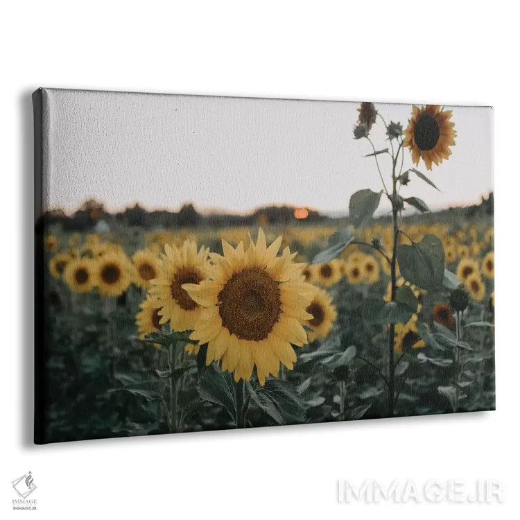 تابلو آفتابگردانها اثر چلسیا ویکتوریا - نمای پرسپکتیو محصول