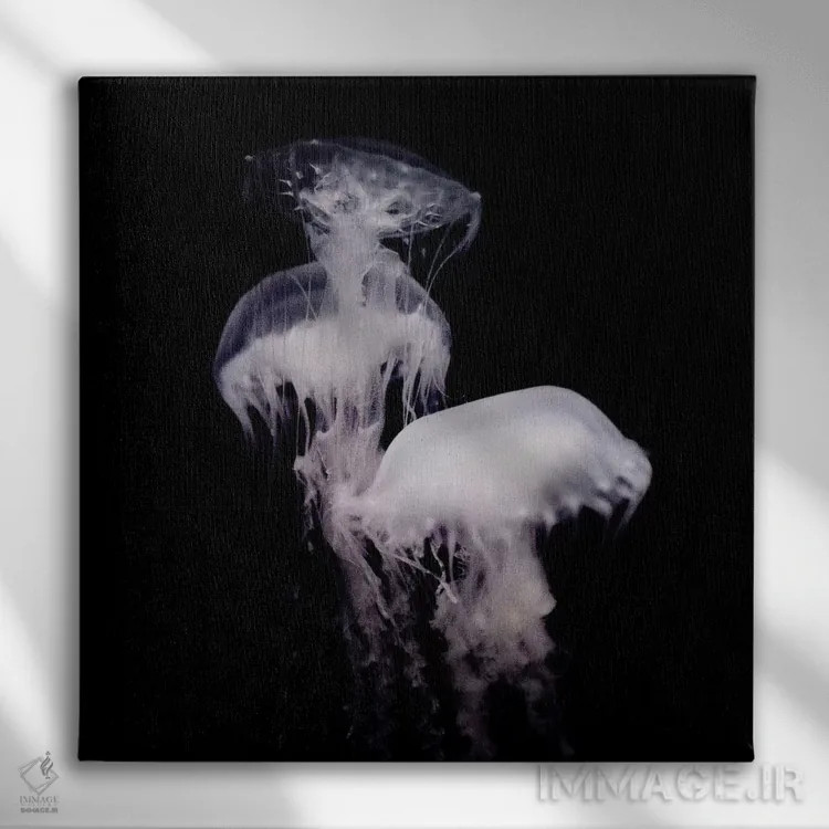 تابلو ارواح ژرفا ۳ (قسمت سوم) اثر چلسیا ویکتوریا - نمای روبهرو روی دیوار