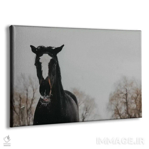 تابلو پیپر (اسم یا نوازنده نی) اثر چلسیا ویکتوریا - نمای پرسپکتیو محصول