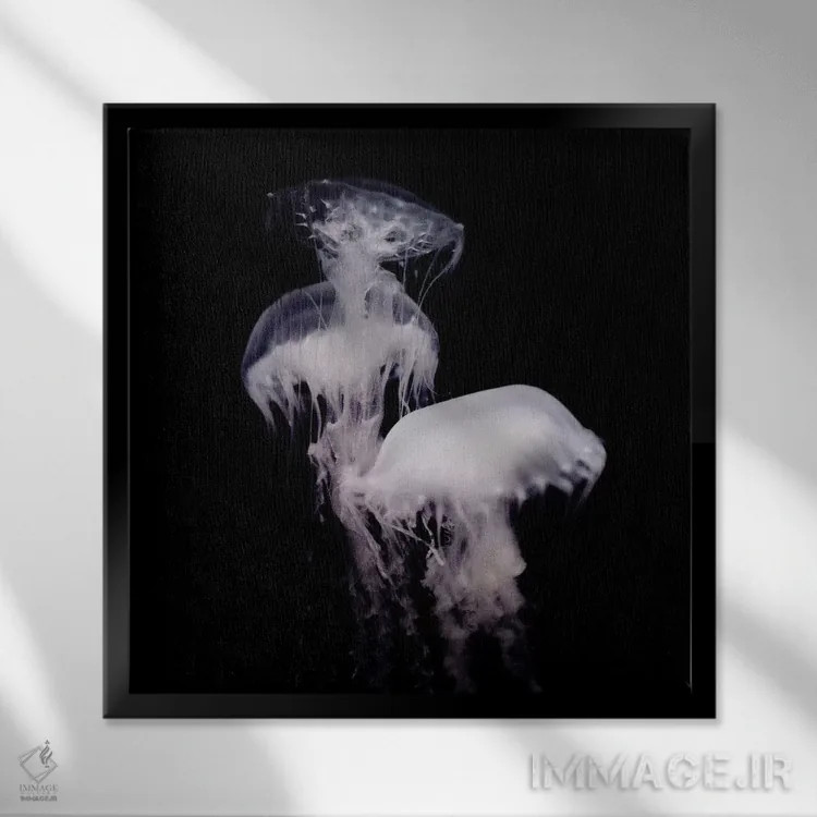 تابلو ارواح ژرفا ۳ (قسمت سوم) اثر چلسیا ویکتوریا - نمای قابدار مشکی