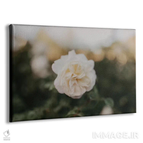 تابلو رز زرد اثر چلسیا ویکتوریا - نمای پرسپکتیو محصول