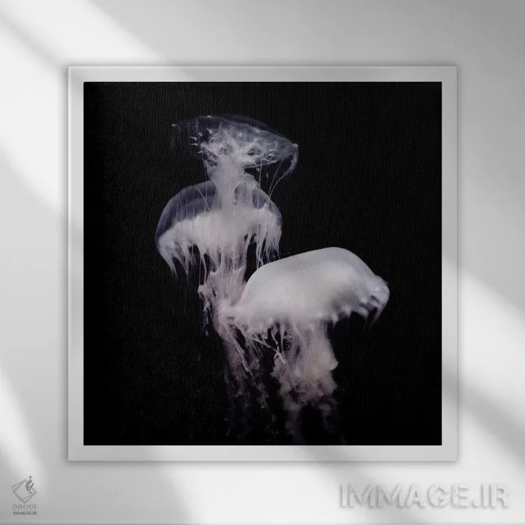 تابلو ارواح ژرفا ۳ (قسمت سوم) اثر چلسیا ویکتوریا - نمای قابدار سفید