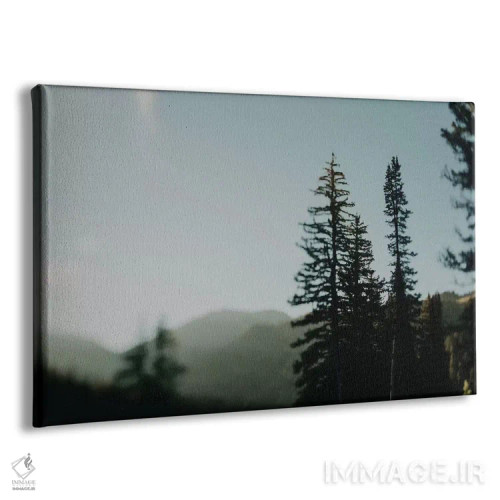 تابلو درخت صنوبر پنبهای (کاتنوود) اثر چلسیا ویکتوریا - نمای پرسپکتیو محصول