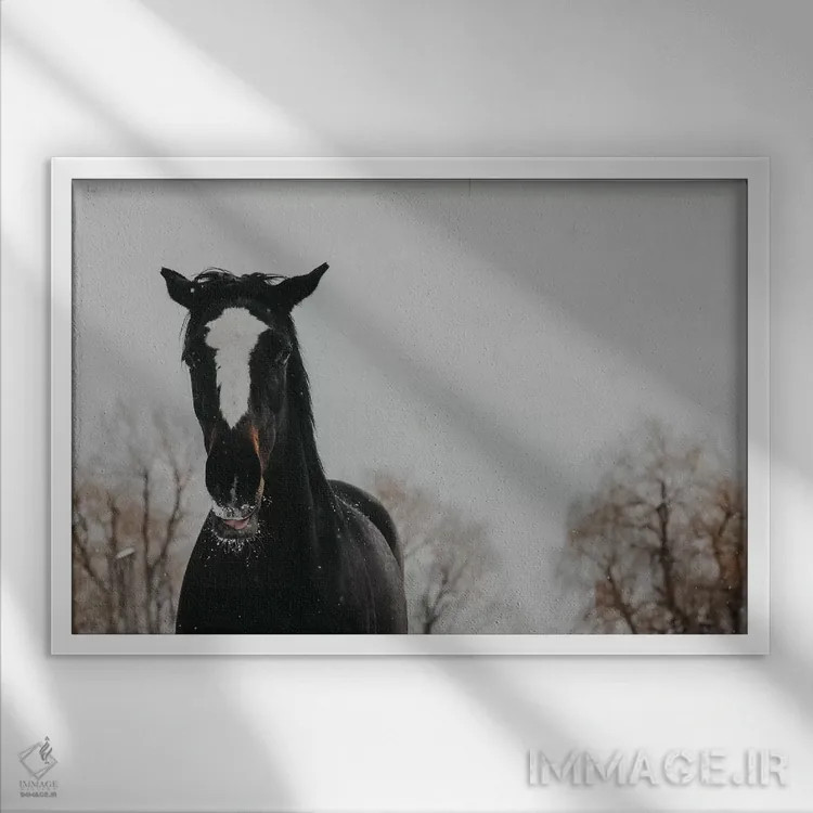 تابلو پیپر (اسم یا نوازنده نی) اثر چلسیا ویکتوریا - نمای قابدار سفید