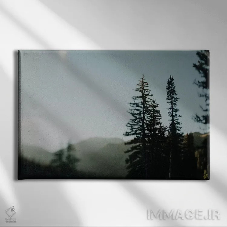 تابلو درخت صنوبر پنبهای (کاتنوود) اثر چلسیا ویکتوریا - نمای روبهرو روی دیوار