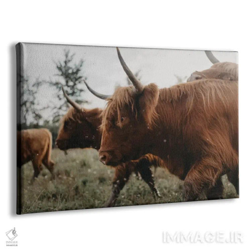 تابلو ما برمیخیزیم اثر چلسیا ویکتوریا - نمای پرسپکتیو محصول