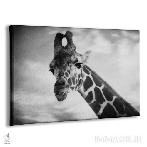 تابلو زرافه ۱ (نقاشی یا عکس اول) اثر چلسیا ویکتوریا - نمای پرسپکتیو محصول