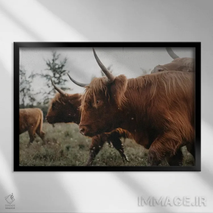 تابلو ما برمیخیزیم اثر چلسیا ویکتوریا - نمای قابدار مشکی