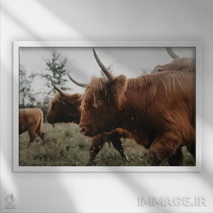 تابلو ما برمیخیزیم اثر چلسیا ویکتوریا - نمای قابدار سفید