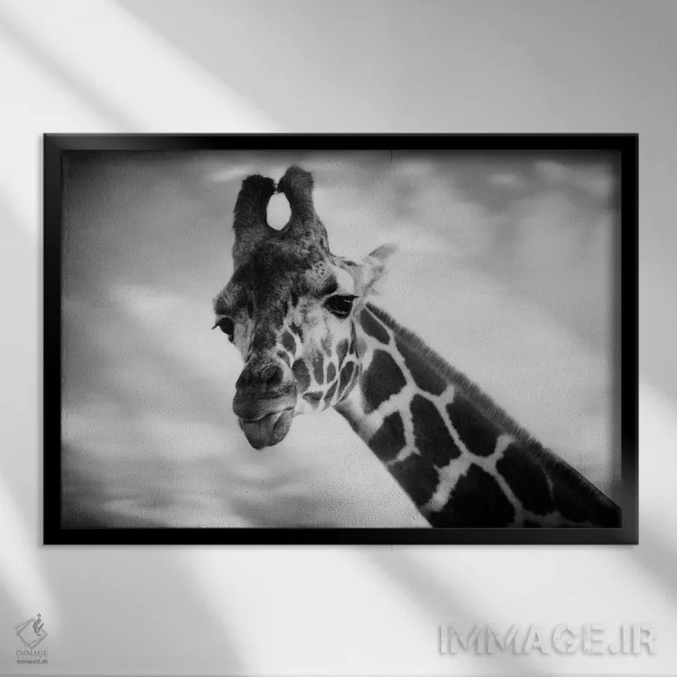 تابلو زرافه ۱ (نقاشی یا عکس اول) اثر چلسیا ویکتوریا - نمای قابدار مشکی