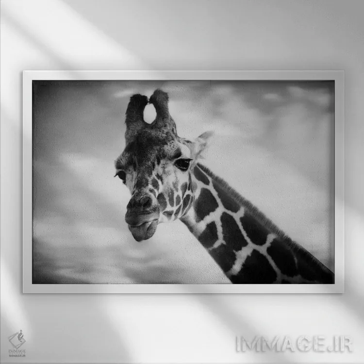 تابلو زرافه ۱ (نقاشی یا عکس اول) اثر چلسیا ویکتوریا - نمای قابدار سفید