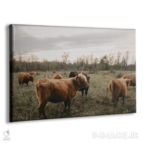 تابلو دور هم جمع شدن در خانه اثر چلسیا ویکتوریا - نمای پرسپکتیو محصول