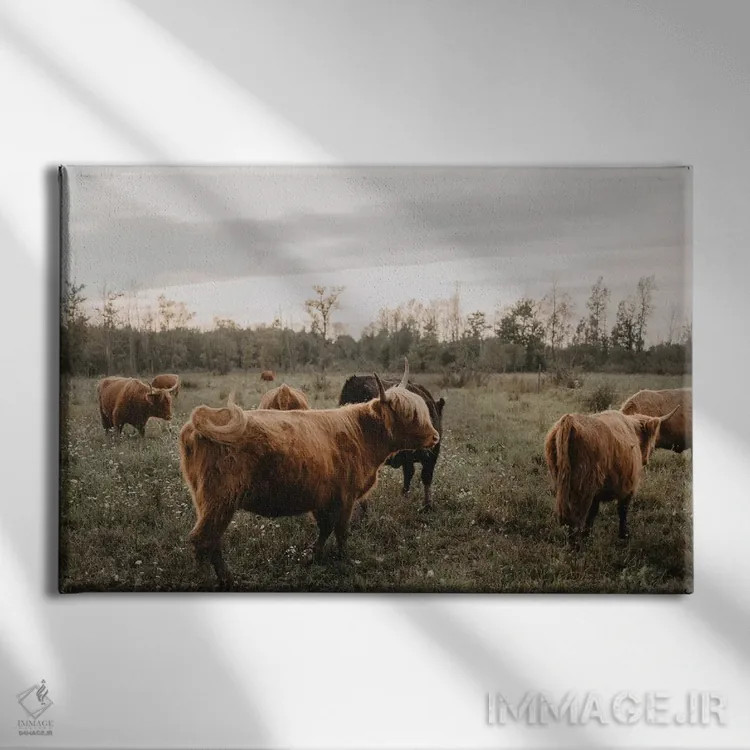 تابلو دور هم جمع شدن در خانه اثر چلسیا ویکتوریا - نمای روبهرو روی دیوار