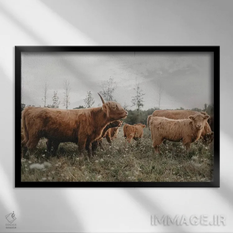 تابلو چیزی بگو اثر چلسیا ویکتوریا - نمای قابدار مشکی