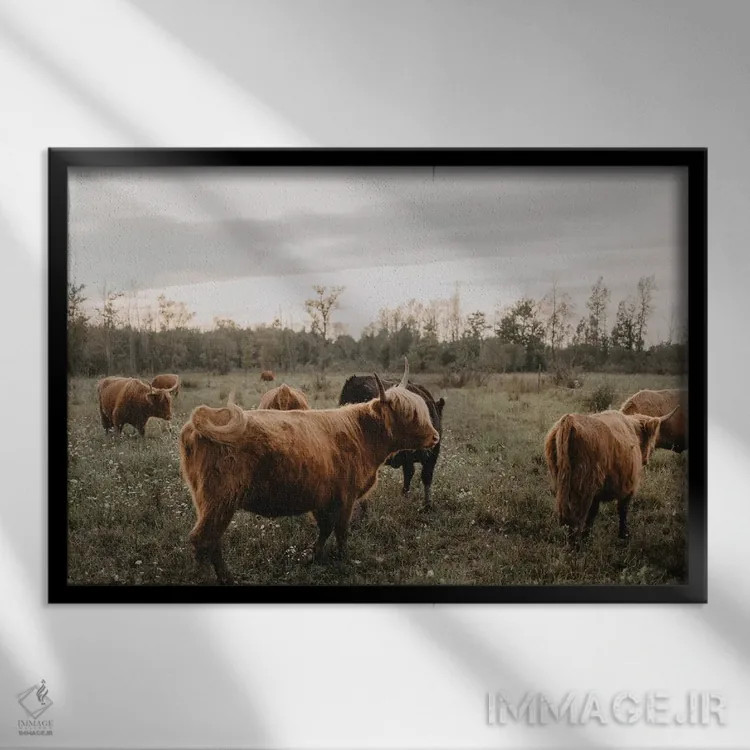 تابلو دور هم جمع شدن در خانه اثر چلسیا ویکتوریا - نمای قابدار مشکی