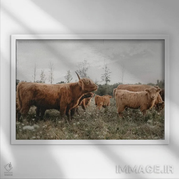 تابلو چیزی بگو اثر چلسیا ویکتوریا - نمای قابدار سفید