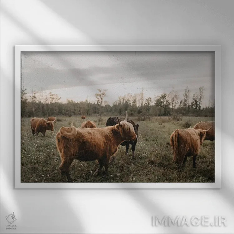 تابلو دور هم جمع شدن در خانه اثر چلسیا ویکتوریا - نمای قابدار سفید