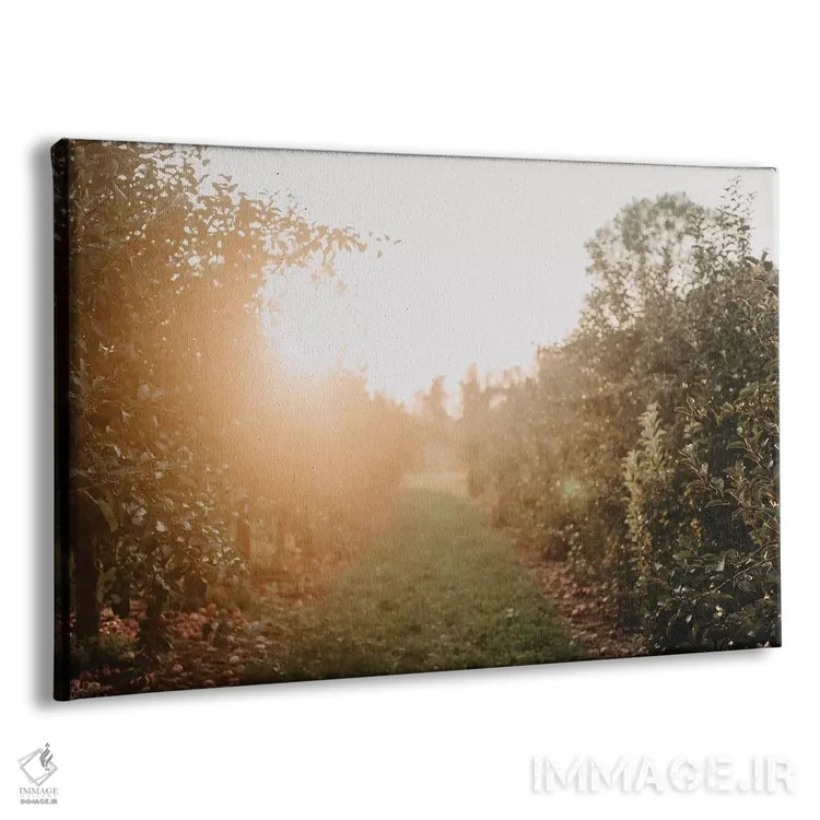 تابلو باغ سیب اثر چلسیا ویکتوریا - نمای پرسپکتیو محصول