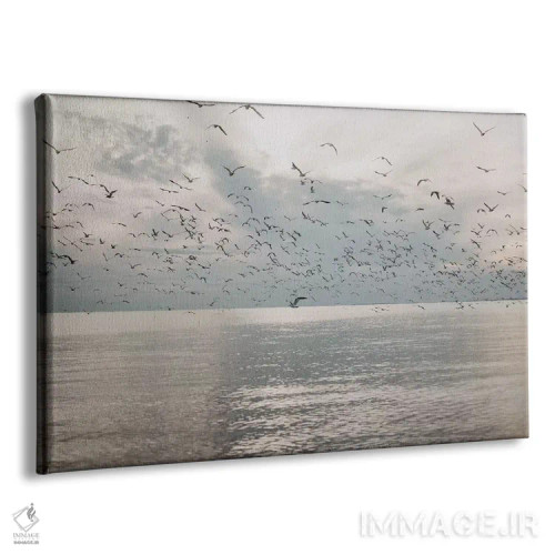 تابلو مرغان دریایی بر فراز دریا اثر چلسیا ویکتوریا - نمای پرسپکتیو محصول
