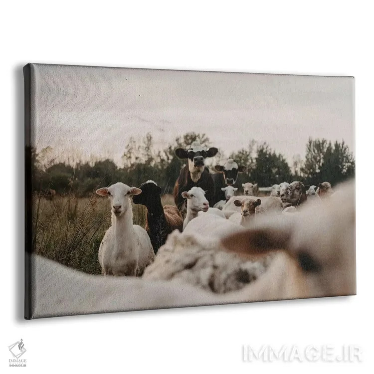 تابلو همهٔ گروه اینجاست اثر چلسیا ویکتوریا - نمای پرسپکتیو محصول