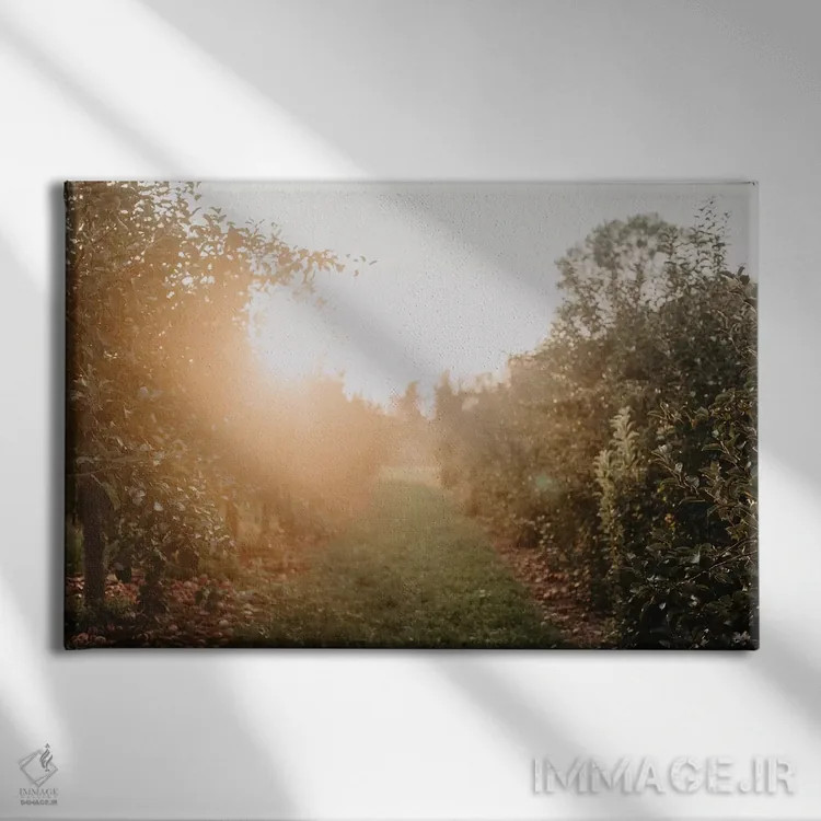 تابلو باغ سیب اثر چلسیا ویکتوریا - نمای روبهرو روی دیوار